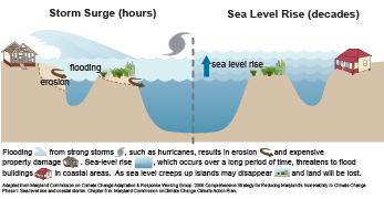 Storm surge versus sea level rise