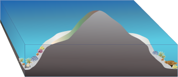 conceptual diagram of fringing reef