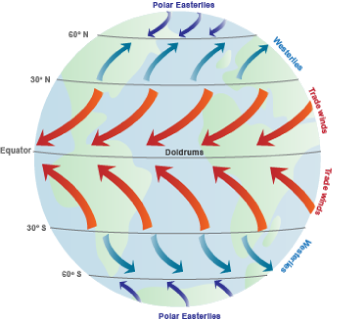 Winds produce currents