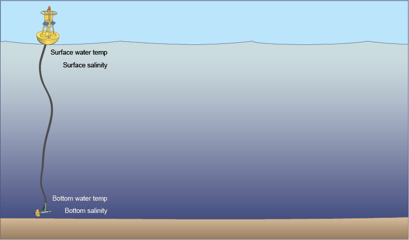 seasonal buoys diagram