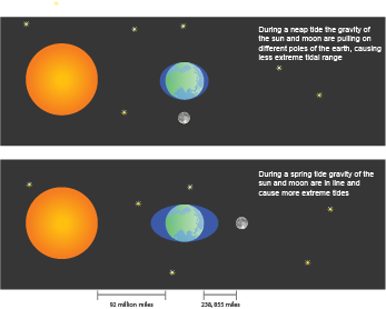 The sun and moon cause tides