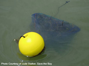 Buoy Seed Bag