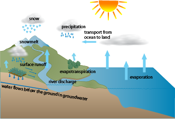 The water cycle