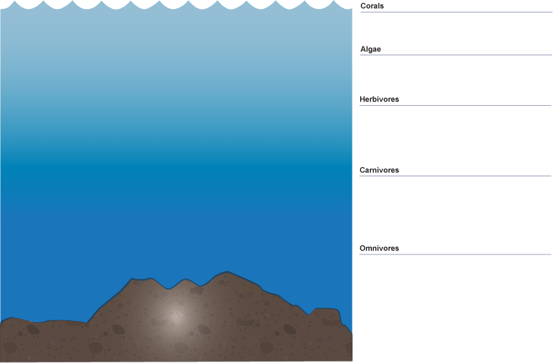 where critters live map