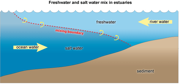 Two layer circulation