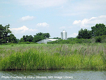 Farm on bay