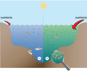 dead zone diagram