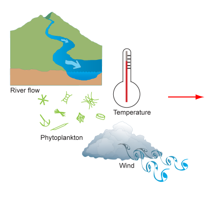 factors that cause dead zones