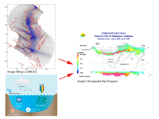 modeling dead zones