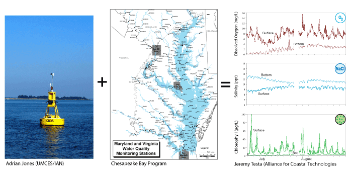 examples of how scientists monitor dead zones