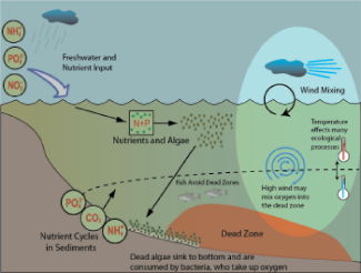 diagram of how physicists study dead zones