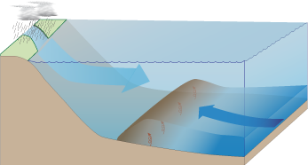 Salt front moving down-estuary