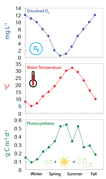 Seasonal data graph